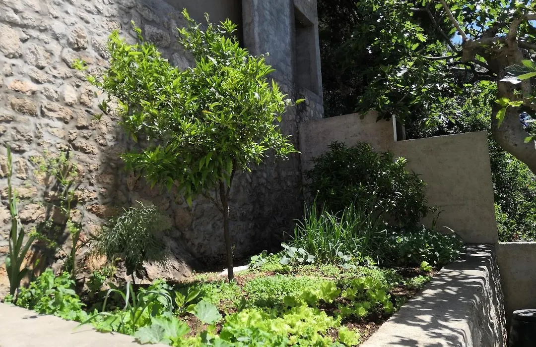 Guest House Blaise-1